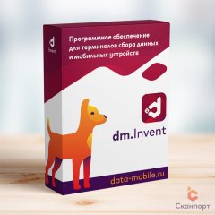 DM.Основные средства: Invent